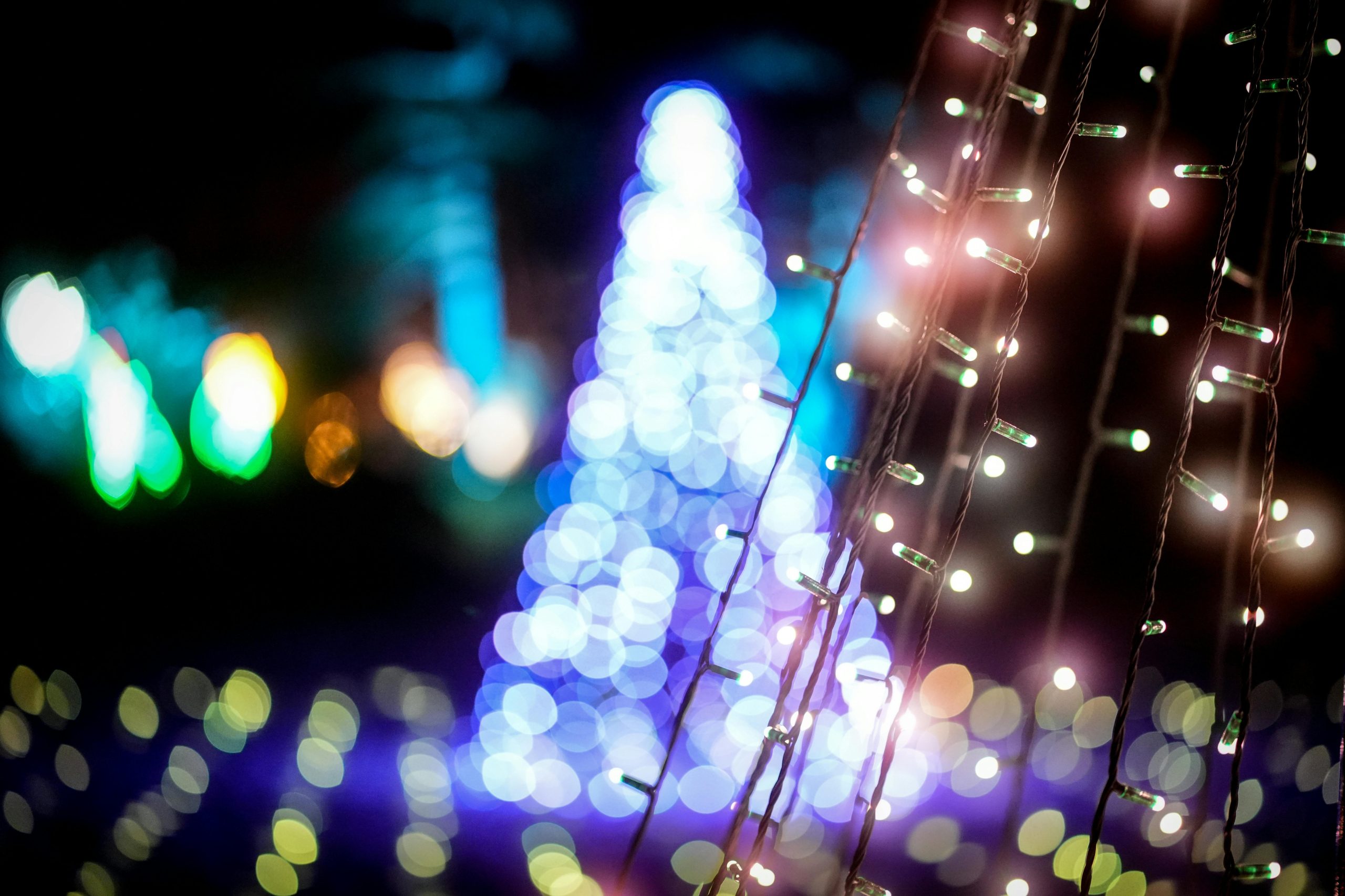 blurry christmas lights